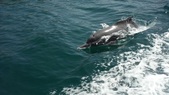 Enlarge photo 42