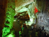 Enlarge photo 74