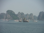 Enlarge photo 80