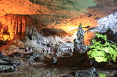 Enlarge photo 75