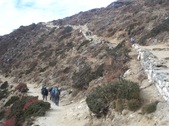 Enlarge photo 59
