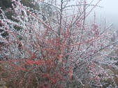 Enlarge photo 62
