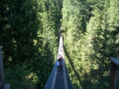 Enlarge photo 94