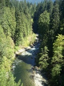 Enlarge photo 95