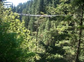 Enlarge photo 97