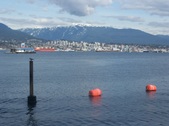 Enlarge photo 53