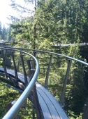Enlarge photo 98