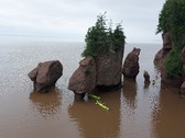 Enlarge photo 31