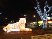 Enlarge photo 26
