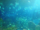 Enlarge photo 76
