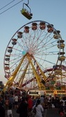 Enlarge photo 73