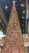 Enlarge photo 64