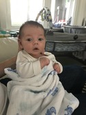 living in Baby Point