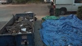 Enlarge photo 2