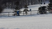 Enlarge photo 63