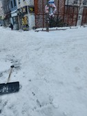 Enlarge photo 79
