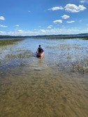 Enlarge photo 88