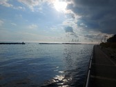 Enlarge photo 33