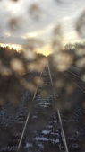 Enlarge photo 50