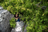 Enlarge photo 17