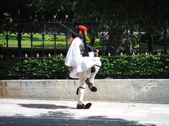 Enlarge photo 88