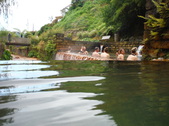 Enlarge photo 46