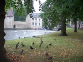 Enlarge photo 27