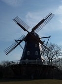 Enlarge photo 41