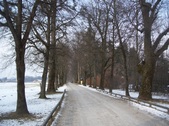 Enlarge photo 28