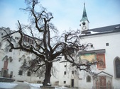 Enlarge photo 41
