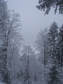 Enlarge photo 33