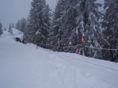 Enlarge photo 35