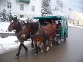Enlarge photo 43