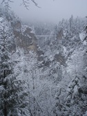 Enlarge photo 45