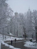 Enlarge photo 48