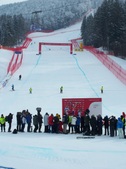 Enlarge photo 28
