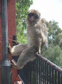 Enlarge photo 14