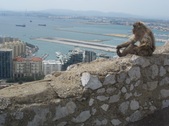 Enlarge photo 20