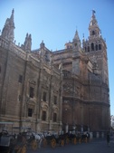 Enlarge photo 48