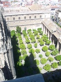 Enlarge photo 52