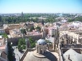 Enlarge photo 54