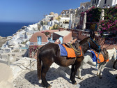 Enlarge photo 36