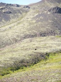 Enlarge photo 62