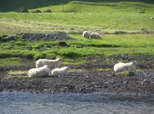 Enlarge photo 85
