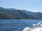 Enlarge photo 41