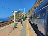 Enlarge photo 45
