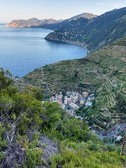 Enlarge photo 61