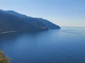 Enlarge photo 72