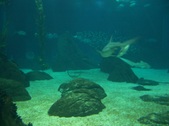 Enlarge photo 38