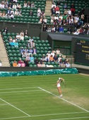 Enlarge photo 87